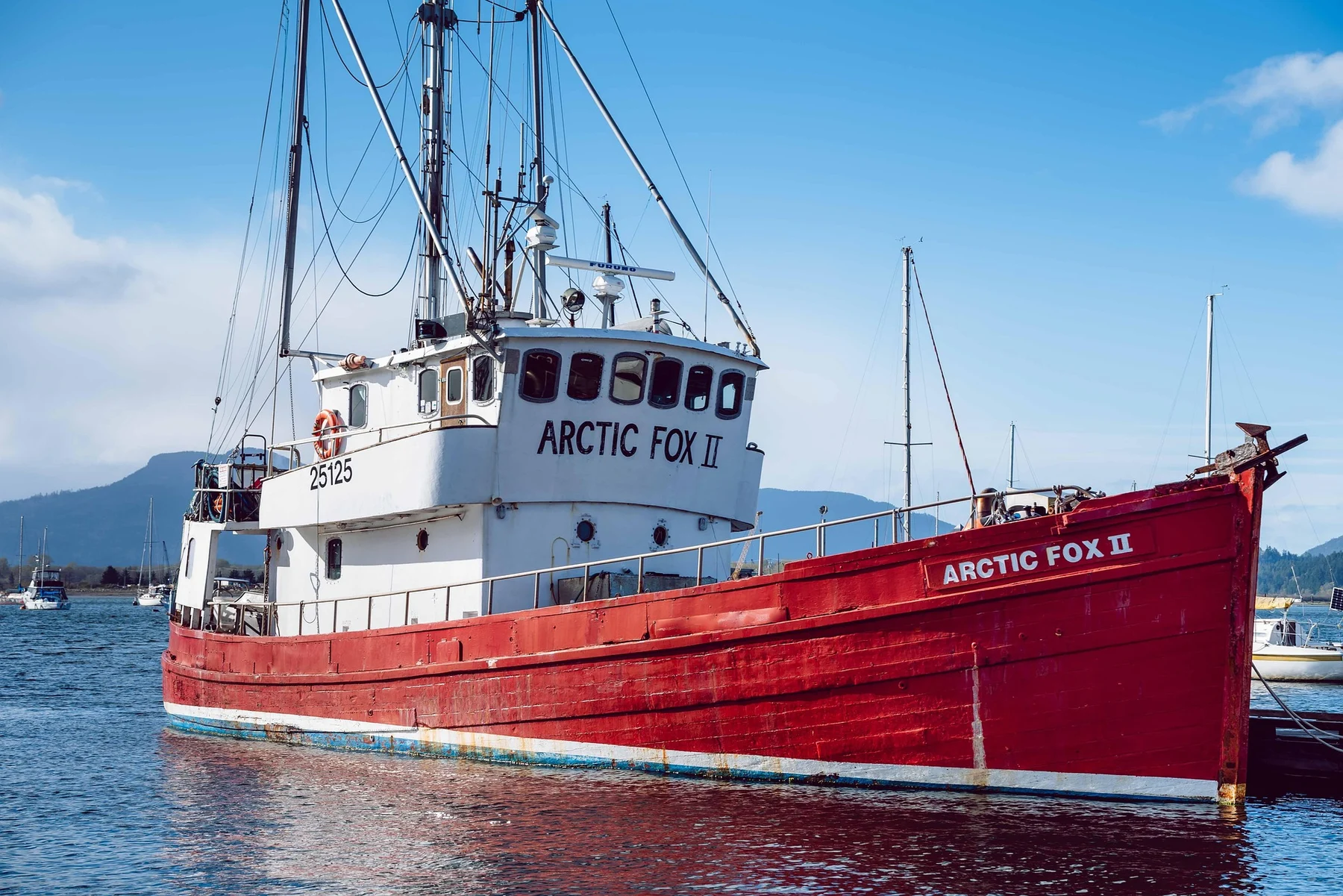 Kuter rybacki Arctic Fox